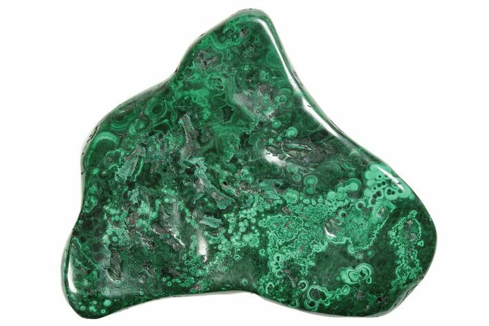 Vibrant, Polished Malachite Specimen - Congo #233315